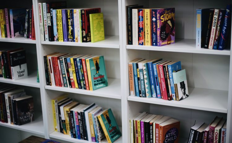  Black Book Community Library Launch in Sydenham